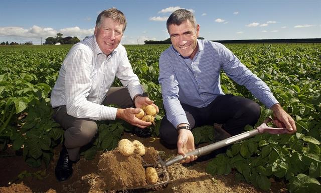 Potato industry further strengthens biosecurity partnership